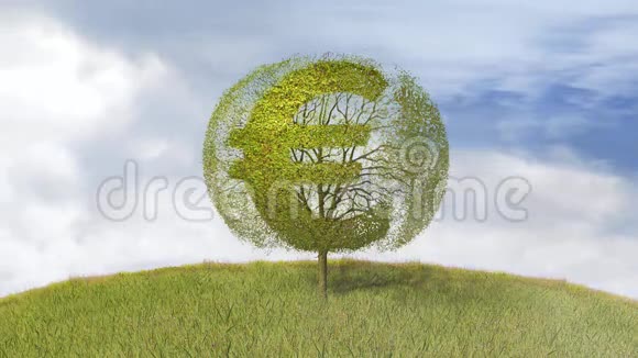 一棵树上的欧元符号落叶视频的预览图