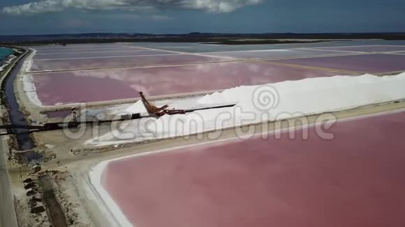 玫瑰加勒比海盐湖博内尔岛空中无人机顶视图4KUHD视频视频的预览图