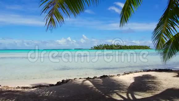 法属波利尼西亚热带海滩棕榈树视频的预览图