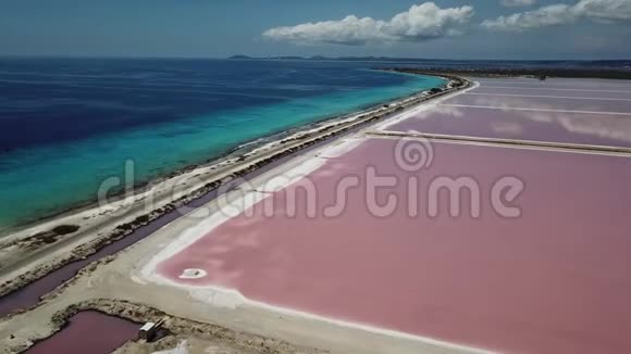 玫瑰加勒比海盐湖博内尔岛空中无人机顶视图4KUHD视频视频的预览图