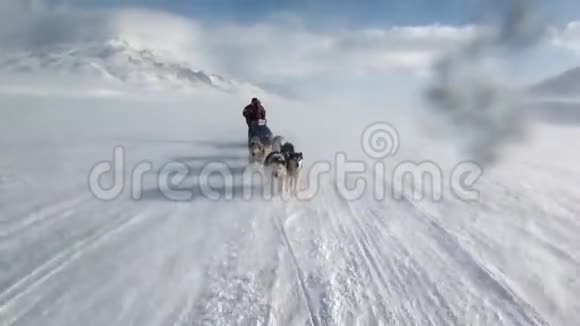 男子骑狗雪橇队哈士奇爱斯基摩白雪道北极视频的预览图