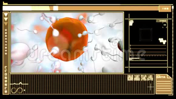 数字界面显示卵细胞受精视频的预览图