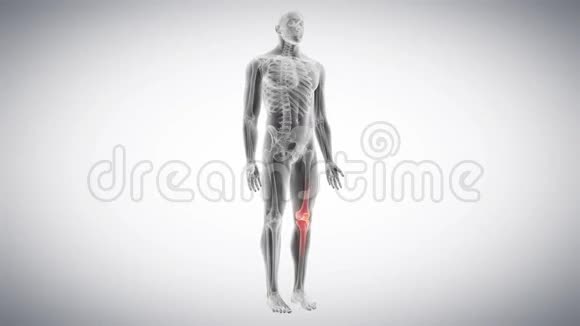 骨骼膝盖视频的预览图