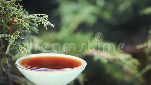 黑中国茶镜头日亮视频的预览图