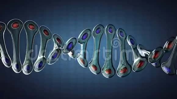 循环DNA玻璃模型旋转视频的预览图