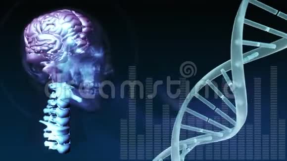 人头和DNA螺旋动画视频的预览图
