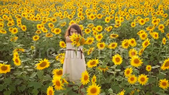 夏天向日葵的田野上快乐的小女孩生活方式向日葵上美丽的小女孩慢速视频视频的预览图