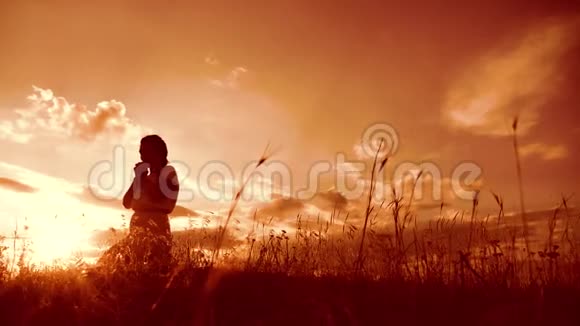 女孩在生活方式日落时双手交叉祈祷剪影女人跪着祈祷慢动作视频女孩视频的预览图
