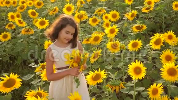 夏天向日葵田野上快乐的小女孩生活方式美丽的小女孩向日葵慢速视频视频的预览图