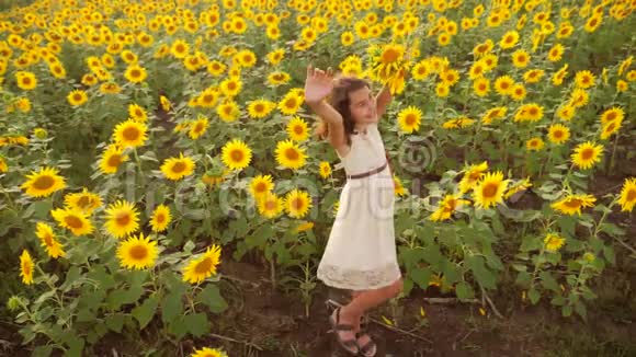 夏天向日葵田野上快乐的小女孩向日葵上美丽的小女孩生活方式慢视频视频的预览图