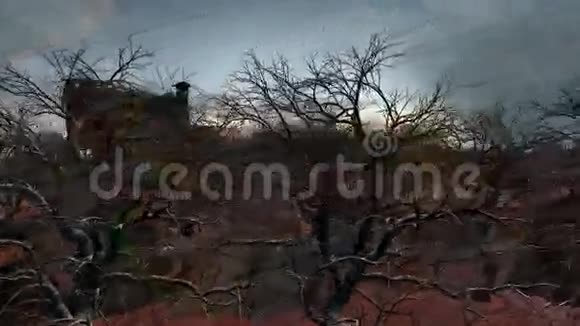 城外沙漠中的农场日落时分树木枯死视频的预览图