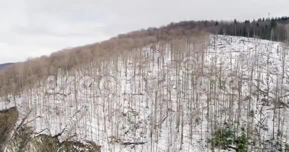 喀尔巴阡山脉冬季鸟瞰亚雷米切乌克兰视频的预览图