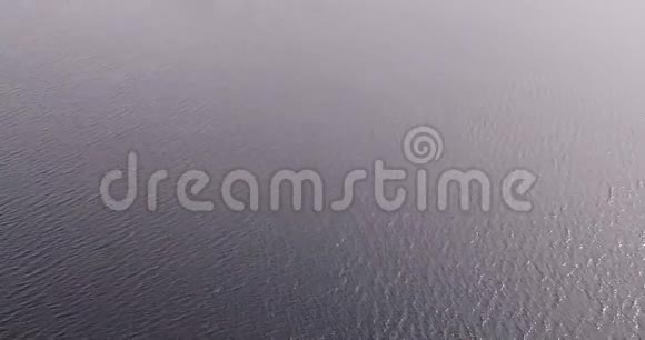 伏尔加河从空中四翼飞机飞越森林视频的预览图
