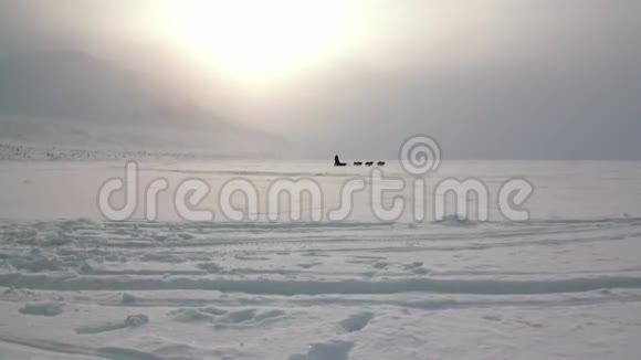 人们探险狗雪橇队哈士奇爱斯基摩路北极视频的预览图