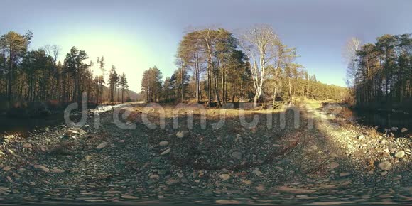 360VR虚拟现实的一片野山松林和河流流淌国家公园草地和阳光视频的预览图