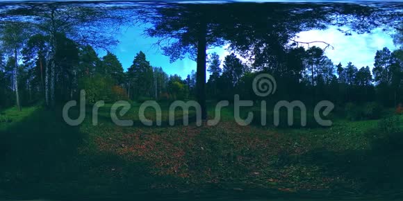城市公园休闲区的UHD4K360VR虚拟现实秋天或夏天的树木和绿草视频的预览图