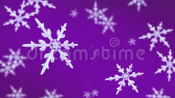 雪花聚焦背景紫色视频的预览图