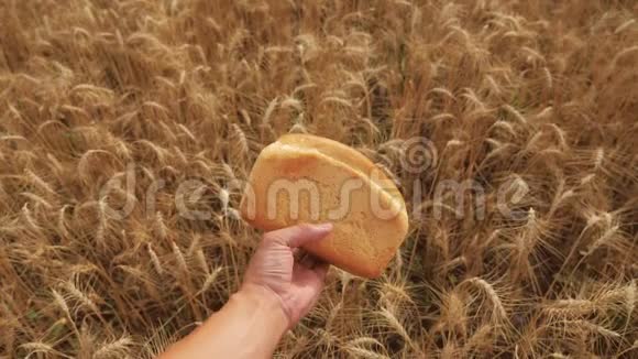 人在麦田里捧着一个金色的面包慢动作录像生活方式小麦领域的成功农学家视频的预览图