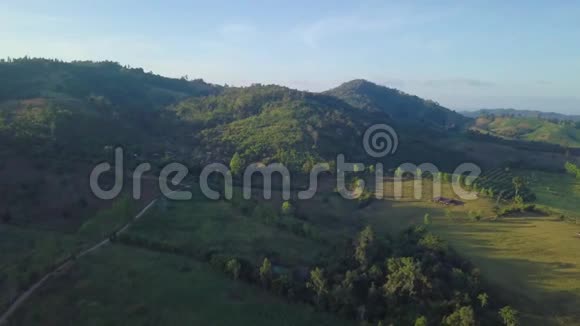 空中观景日出时用美丽的云彩和天空飞越高山和树木视频的预览图