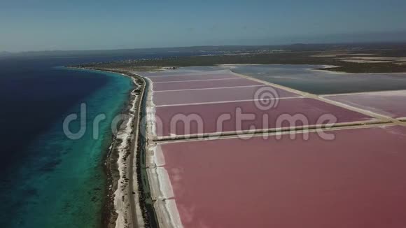 玫瑰加勒比海盐湖博内尔岛空中无人机顶视图4KUHD视频视频的预览图