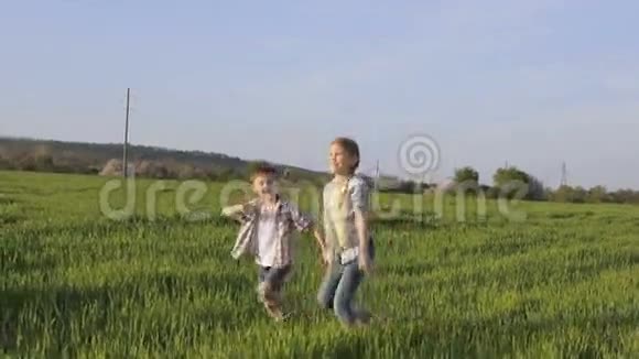 两个快乐的孩子在白天在田里玩耍视频的预览图