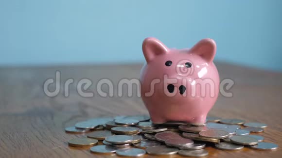 猪银行业务站在一堆硬币的概念上一只手把硬币放在黄色背景的储蓄罐里视频的预览图