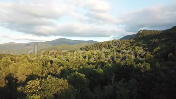 法国用无人驾驶飞机拍摄的平壤森林的鸟瞰图视频的预览图