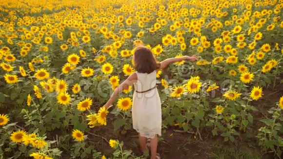 夏天向日葵田野上快乐的小女孩向日葵上美丽的小女孩慢动作视频女孩视频的预览图