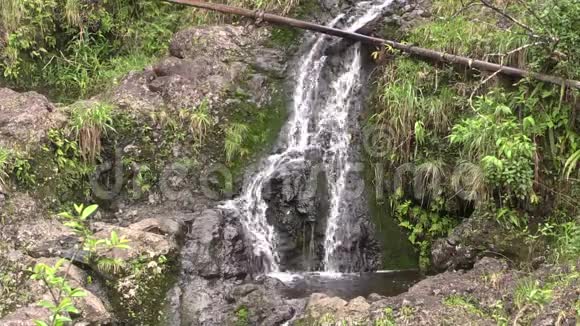 风景优美的热带毛伊瀑布视频的预览图