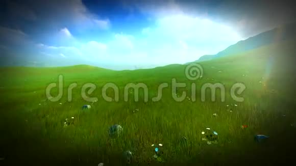 爱尔兰有起伏的山丘和野花的草地视频的预览图