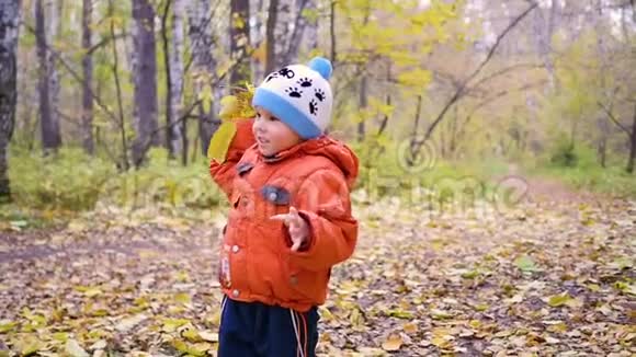 在秋天公园玩树叶的孩子在新鲜空气中散步视频的预览图