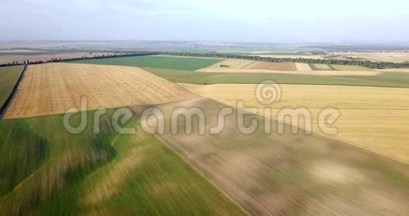 各种类型农业领域的空中射击务农空中拍摄的农田农业航空射击视频的预览图