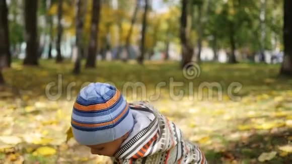 秋天公园的孩子玩树叶在新鲜空气中漫步视频的预览图