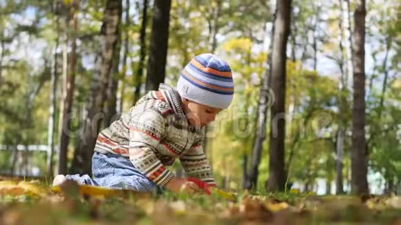 秋天公园的孩子玩树叶在新鲜空气中漫步视频的预览图