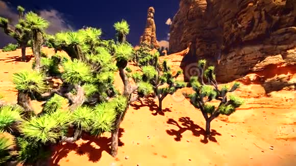 美国沙漠动画视频的预览图