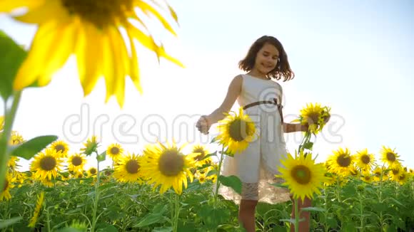 快乐的小女孩在向日葵的阳光下生活的夏天美丽的日落小女孩向日葵视频的预览图