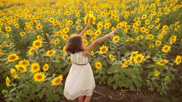 夏天向日葵田野上快乐的小女孩向日葵里美丽的小女孩的生活方式慢速视频视频的预览图
