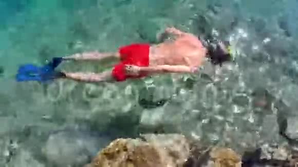 人在海里浮潜视频的预览图