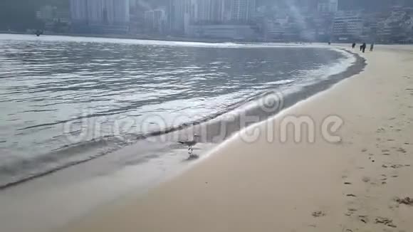 松多海滩釜山韩国亚洲视频的预览图
