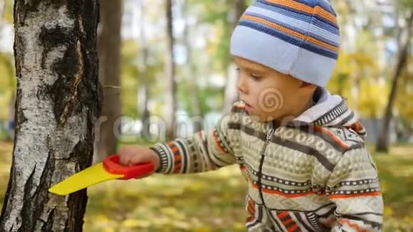 秋天公园的孩子玩得很开心在新鲜空气中漫步视频的预览图