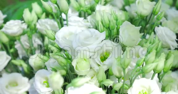 白色玫瑰新娘花束的细节视频的预览图