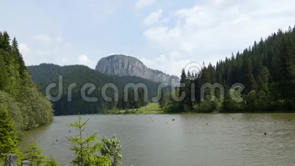 穿越大自然和景观之旅视频的预览图