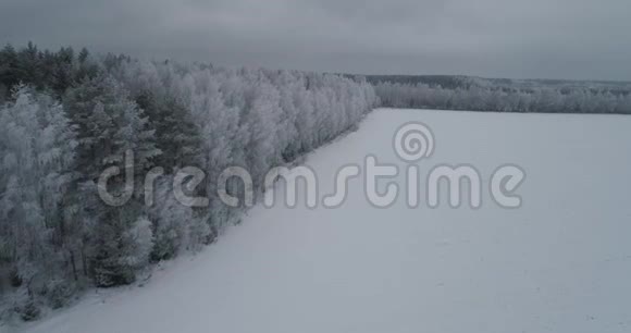 冬季景观带林田冬季景观视频的预览图