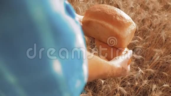 老农家面包师拿着一个金色的面包和面包生活方式在麦田对抗蓝天慢速视频视频的预览图