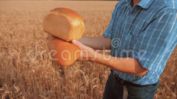 老农夫面包师拿着一个金色的面包和面包在麦田对抗蓝天的生活方式慢速视频视频的预览图