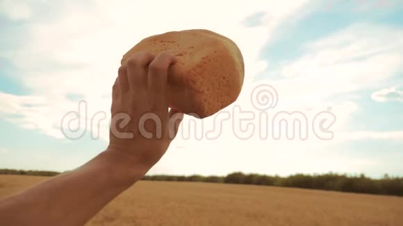 人拿着一个金色的面包在麦田里顶着蓝天慢动作视频成功的农业学家视频的预览图