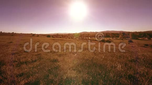 夏季4KUHD山草甸时间云树绿草和太阳光的运动视频的预览图