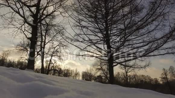 下雪的冬季公园视频的预览图