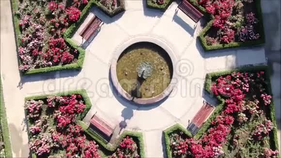 公园玫瑰花园的空中照片视频的预览图