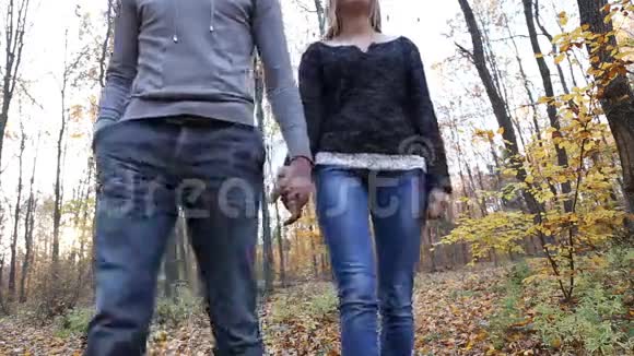 在大自然中行走的情侣视频的预览图